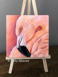 Critter Squares - Franny CP e-Packet